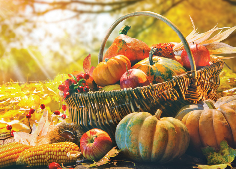 Find Balance with the Autumn Equinox - Twin Rivers Nursing & Rehabilitation